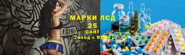 дживик Бородино