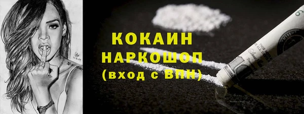 дживик Бородино