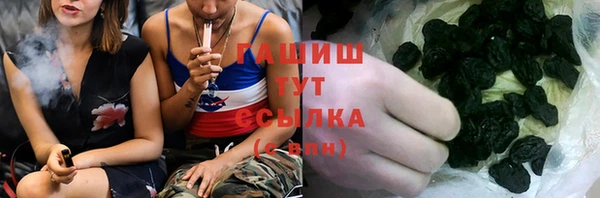 дживик Бородино