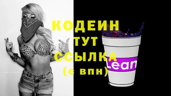 дживик Бородино