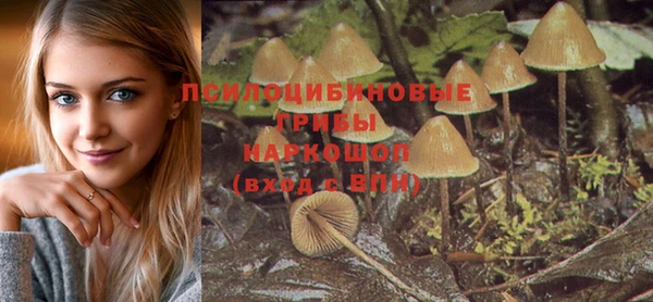 герыч Бронницы