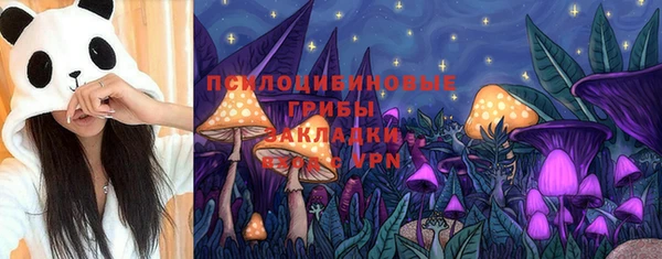 дживик Бородино