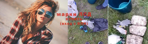 дживик Бородино