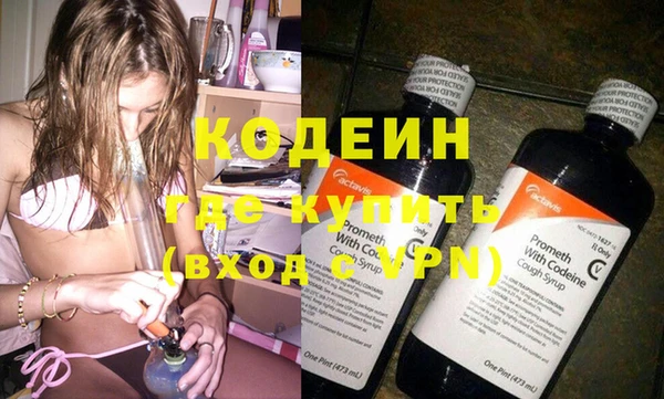 дживик Бородино