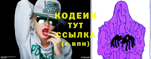 дживик Бородино